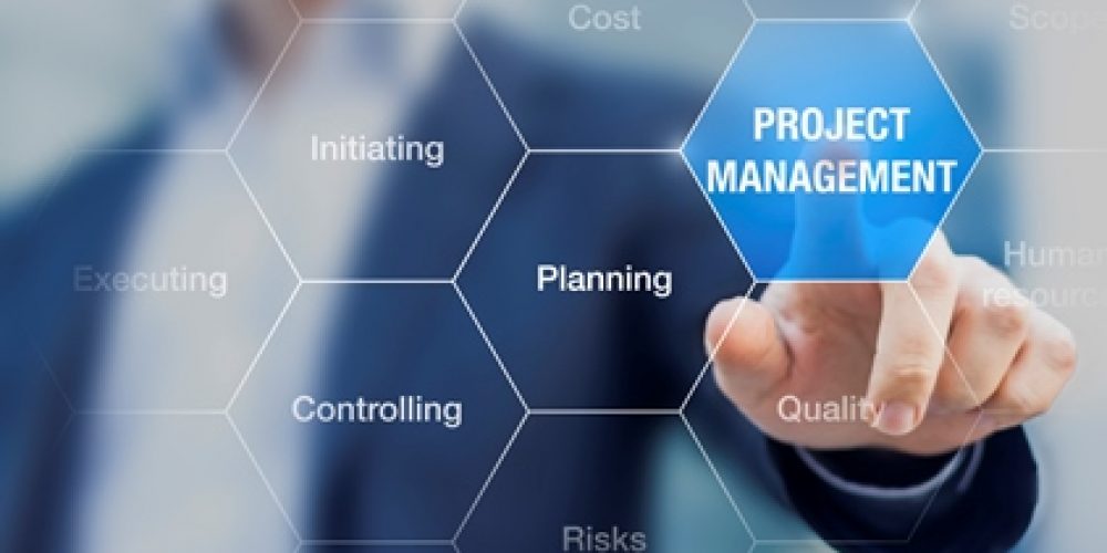 Projekt- und Programm-Management​