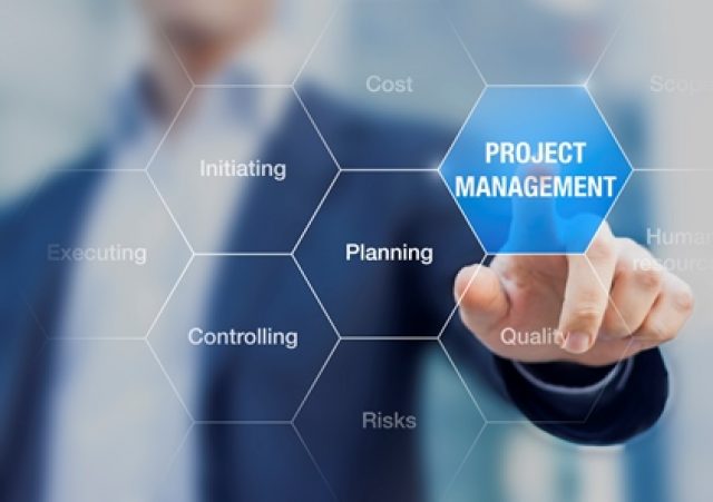 project and program management